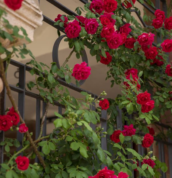 Alojamiento en Teruel capital