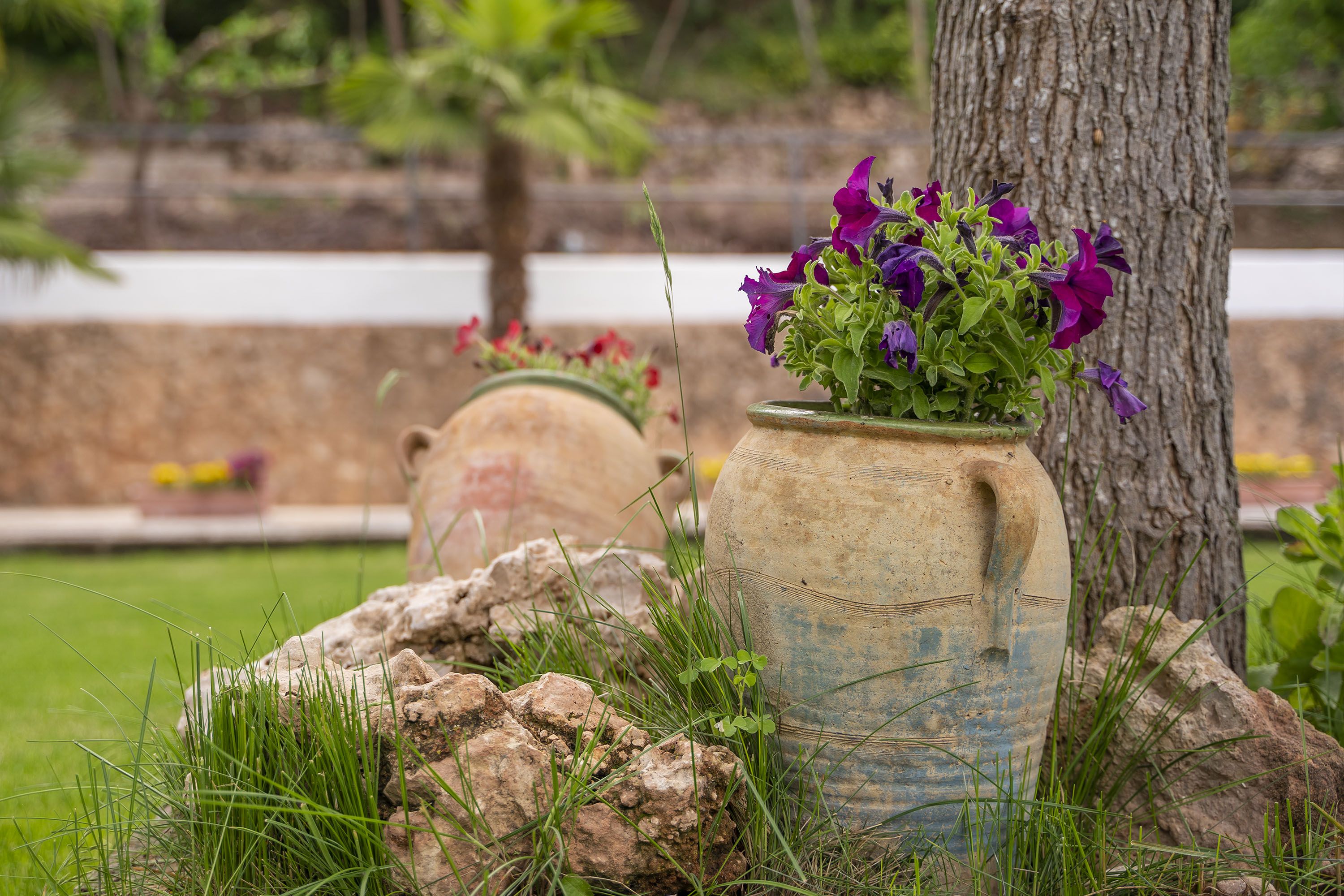Alojamiento en Teruel capital